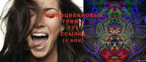ECSTASY Алексин