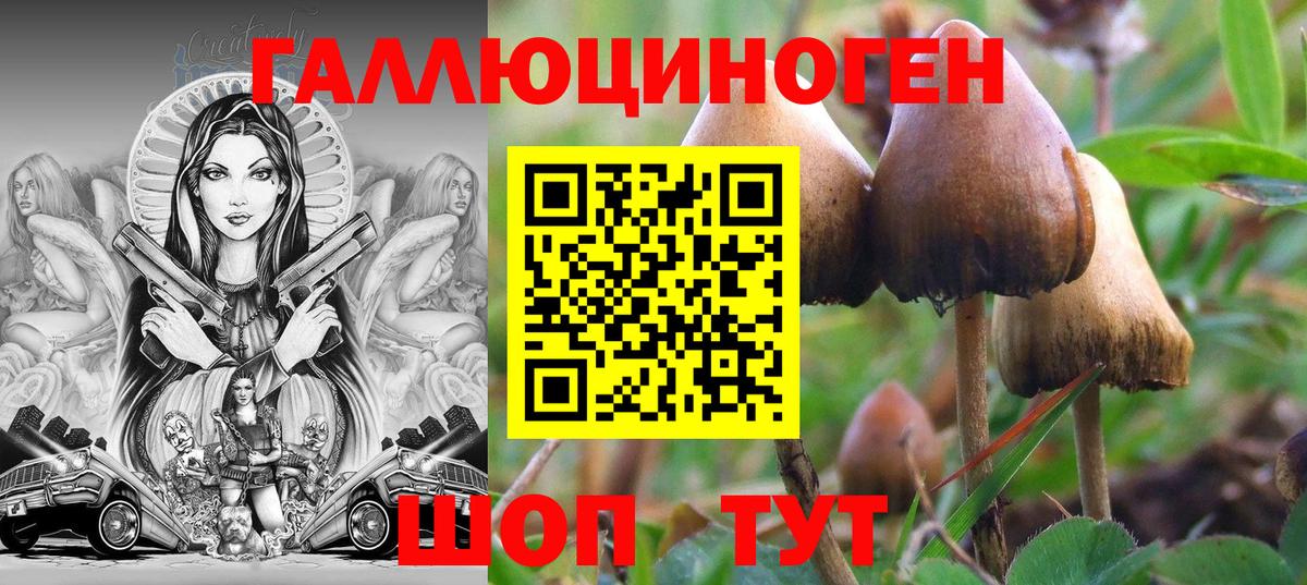 где купить наркотик  Вход с VPN  Ревда  Псилоцибиновые грибы MAGIC MUSHROOMS  Галлюциногенные грибы Psilocybine cubensis 