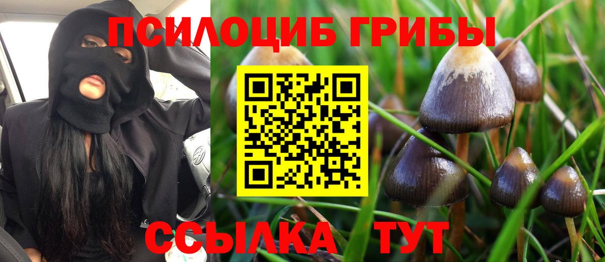 Галлюциногенные грибы Psilocybe Ревда